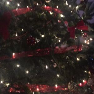 Meet your Posher, Ebeni